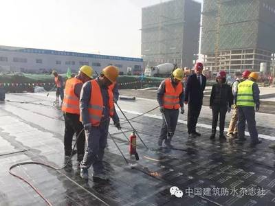 防水工程施工全流程解析与要点