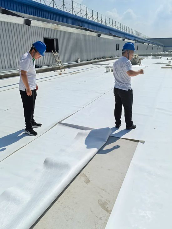 三棵树TPO防水卷材为中天钢铁集团工厂建设注入可靠保障